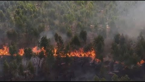 Drones For Good: wildfires