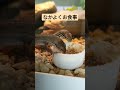 カナヘビの餌の与え方。水でふやかす&rarr;細かくする&rarr;与える。人工飼料大好き #カナヘビ #カナヘビ飼育 #爬虫類 #カナヘビレオパブレンドフード #かなへび #カナヘビ餌#カナヘビ人工飼料