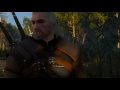 The witcher 3 wild hunt  evga geforce gtx 1070  ultra settings