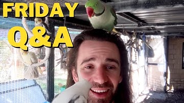 Fates Warning? Musicals? John Butler? Q&A 144