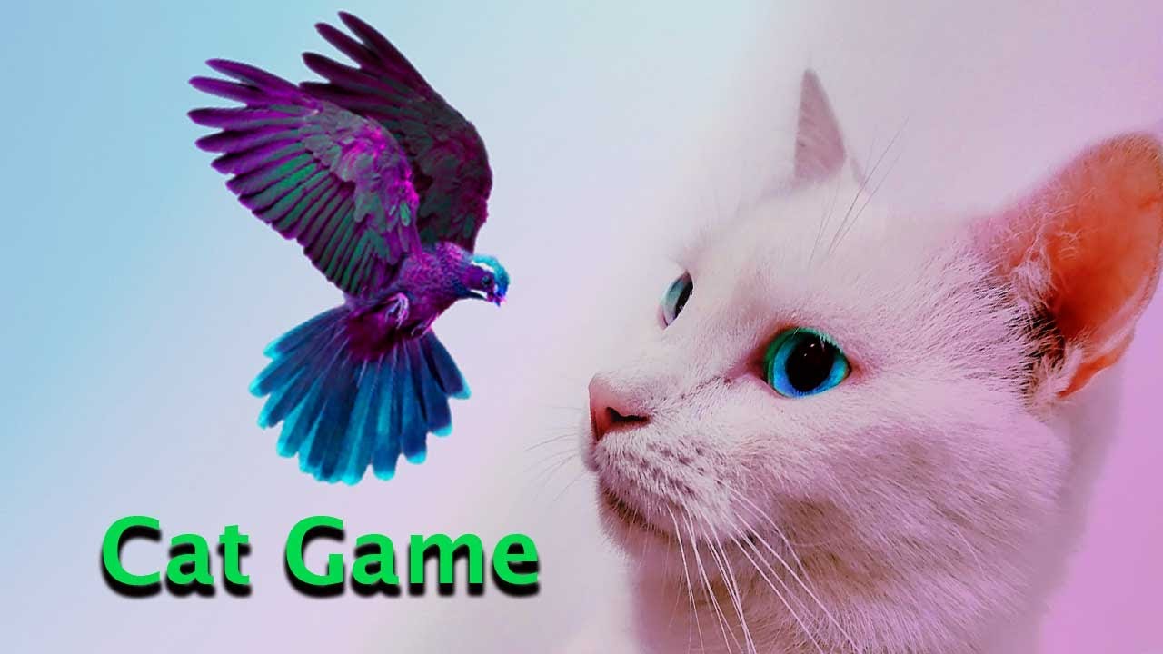CAT GAMES Birds For Cats To Watch on Screen with Bird Sounds Kitten Entertainment. BEST