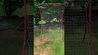 Celebrity Franklin Pitchback Profile