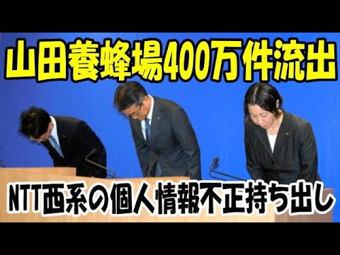 山田養蜂場からは400万件流出 NTT西系の個人情報900万件名簿屋に渡した件