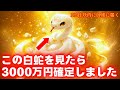 【もう大丈夫...】※5日間限定!この"白蛇"を見たら「3000万」の臨時収入が確定しました。【金運上昇祈願】