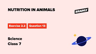 Can we survive only on raw, leafy vegetables?Class 7 Science,Ch-2, Nutrition in Animals Ex 2.2,Q-13 screenshot 5
