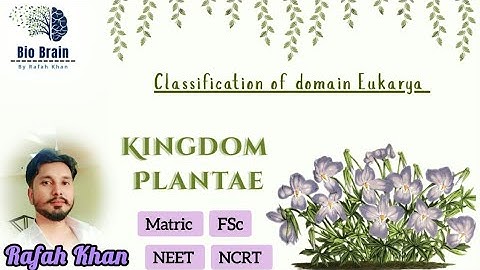 Kingdom Plantae | Classification of Domain Eukarya | 9th Biology Chapter 2 | @BioBrain_by_rafahkhan 