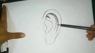 تعليم رسم الأذن. الدرس الرابع لتعليم الرسم للمبتدئين #فنون_بلوجر