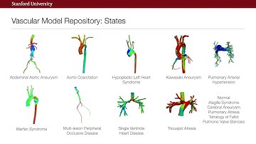 SimVascular and Vascular Model Repository (SMCR21)