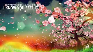 Tim van Werd - I Know You Feel It (ft. J. Ward Brew)