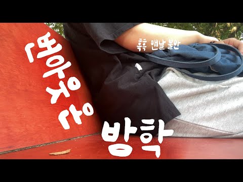 방학때 번아웃에 뚜드려맞은 대학생 | 독일 마트 장보고 맛없는 티라미수 만들기