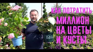 КАК ПОТРАТИТЬ МИЛЛИОН НА КУСТЫ И ЦВЕТЫ # 5