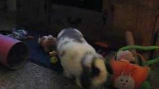 Betsy The Destructo-Bunny