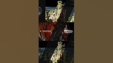 Holo verse | Dive into Lahore Zoo