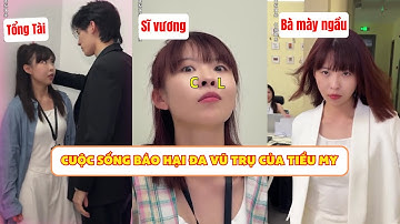 Cuộc Sống Báo Hại Đa Vũ Trụ Của Tiểu My ( Nghiệp Quật) | Mỗi Ngày Một Hài #shorts