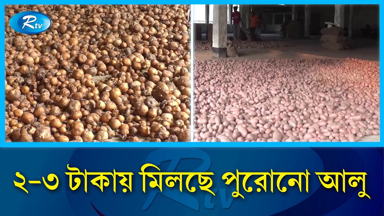 ন্যায্যমূল্য না পেয়ে রংপুরের আলু চাষিদের হাহাকার | Potato Price | Rtv News