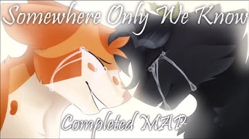 Somewhere Only We Know || COMPLETE Fallen Leaves and Hollyleaf MAP