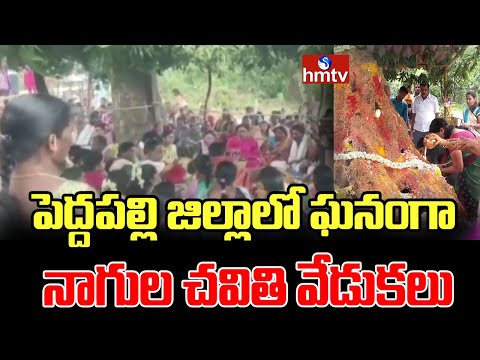 పెద్దపల్లి జిల్లాలో ఘనంగా నాగుల చవితి వేడుకలు | Nagula Chavithi | Peddapalli | hmtv