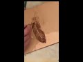 Carving a leather feather