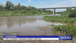 Frio flowing toward Choke Canyon