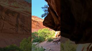 Raw FPV - Amazing Camping Spot Along the River #fpv #shorts #fyp #drone #fpvdrone #youtube #colorado