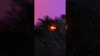 Magic Chemical Reaction in Slow Motion #shorts