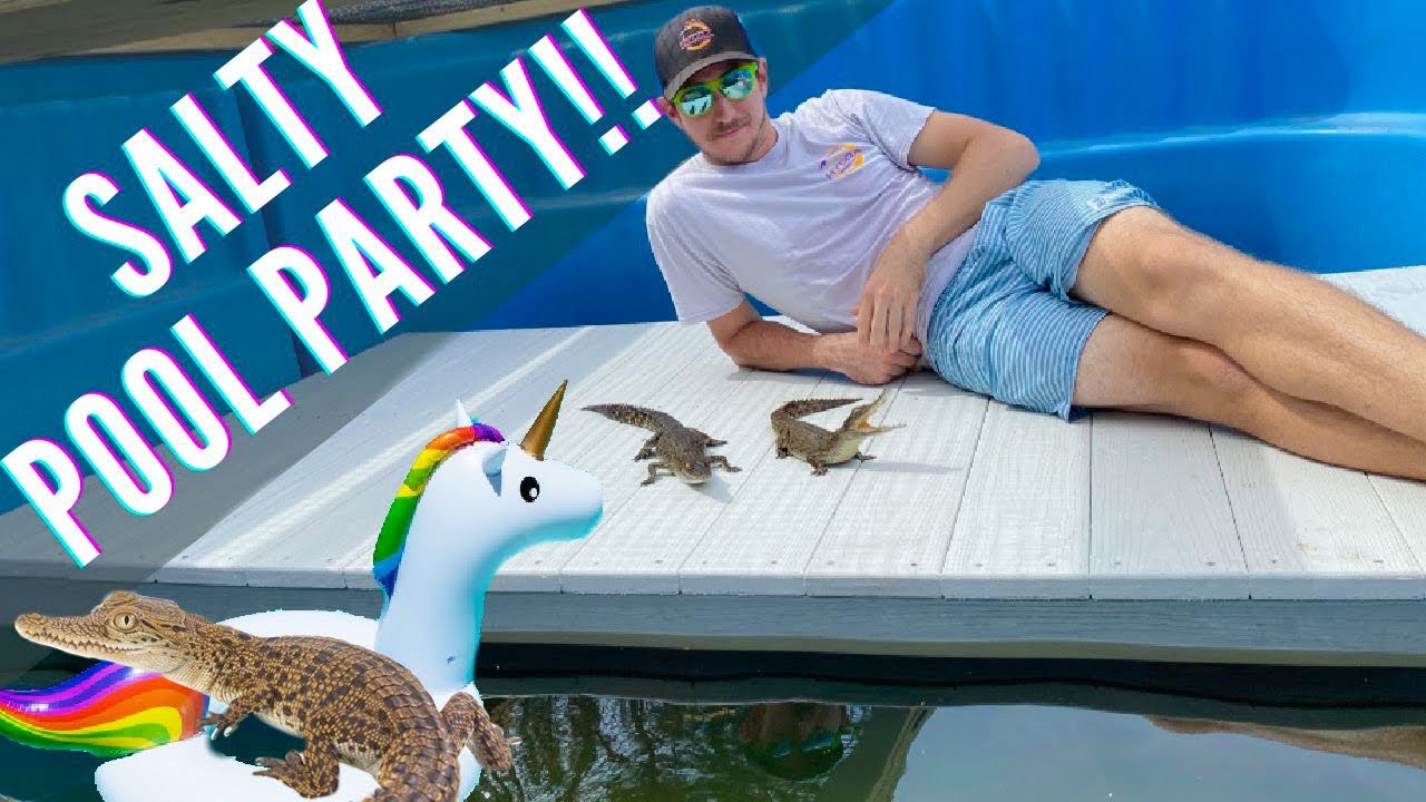 Swimming with SALTWATER CROCODILES! Primitive Predators YouTube