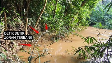 MANCING IKAN BAUNG WAKTU AIR KERUH SANGAT GANAS BIKIN ❗❗ KETAGIHAN MANCING