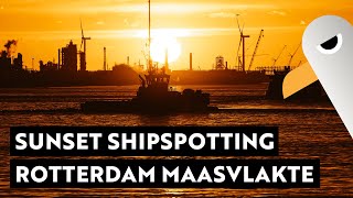 Sundowner Extrem ☀️ Shipspotting 🚢 Containerhafen Rotterdam Maasvlakte