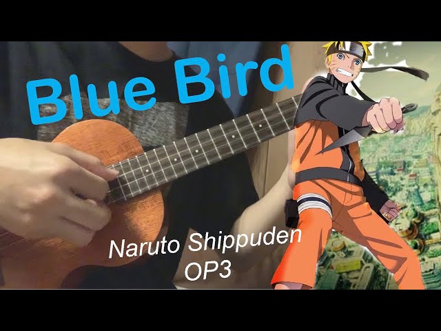 Blue Bird - Naruto Shippuden OP3 - Anime Ukulele Cover [TABS in description] class=