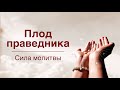 Сила молитвы | Плод праведника