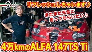 アルファロメオ 147&156 Maintenance & Tuning Amazon.co.jp