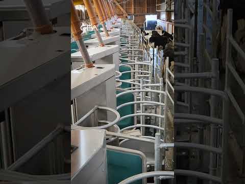 GEA Dairy Farming - GEA DairyFeed F4500 animation
