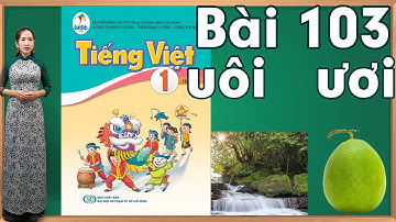 Tiếng việt lớp 1 sách cánh diều tập 2 - Bài 103|Bảng chữ cái tiếng việt |Danh van chu cai tieng viet