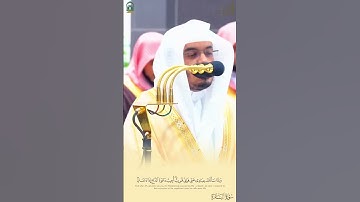 ﴿فَإِنّي قَريبٌ أُجيبُ دَعوَةَ الدّاعِ﴾ #ياسر_الدوسري #سورة_البقرة #القرآن_الكريم #تلاوات #quran