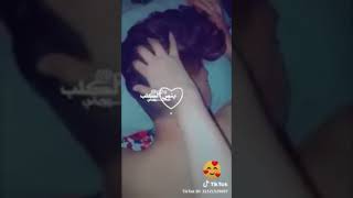 ياسر عبد الوهاب شيليني ولميني