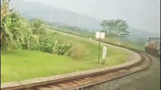 Lagi galau cocok untuk story' wa,Ig| PADI RAPUH