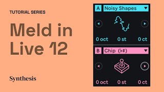 Ableton Live 12 : Everything you need to know about Meld