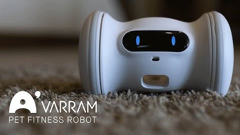 A Smart Robot For Your Pet - VARRAM [Crowdfunding Kickstarter Indiegogo]