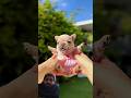 #beautifulnature #beastevolution #naturemagic #animalmetamorphosis