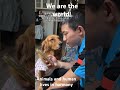 Animals and humans live in harmony