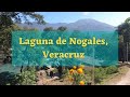 Laguna de Nogales, Veracruz