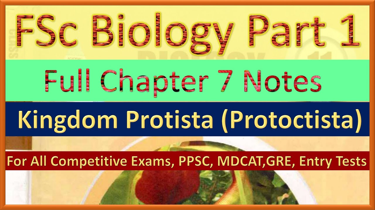 FSc Biology Part 1 Chapter 7 Full Notes | Kingdom Protista - YouTube