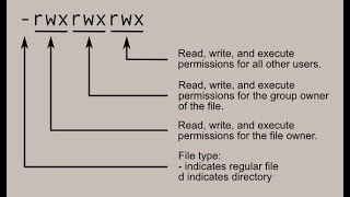 Shell Permission