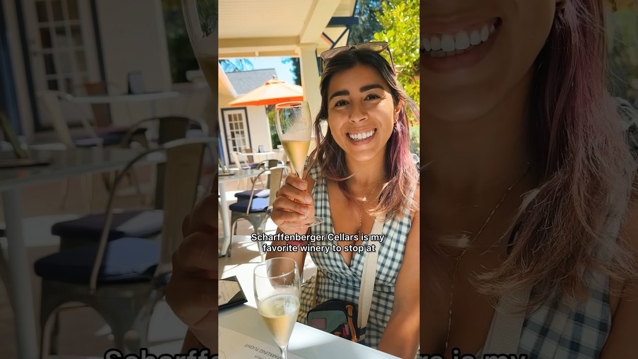 Wine country on the way to Mendocino Coast!