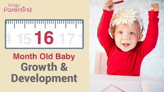 Your 16 Month Old Baby's Growth & Development