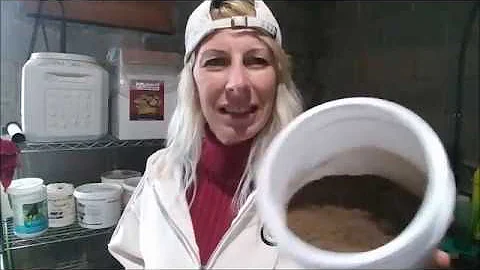 Chaste Tree Berry Powder for Cushings Horses and Vaccines