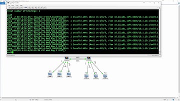 050-Switch-Infrastructure Security-Dynamic ARP Inspection