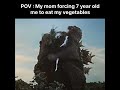 POV : moms be like #godzilla