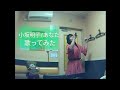 小坂明子/あなた♪歌ってみた