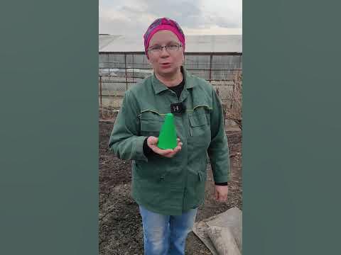 Что еще за зеленый конус? - YouTube